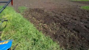 Фрезеровка огорода, ремни и фрезы на мотоблоке Кентавр