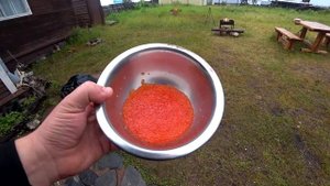 Ловля Горбуши, Семги, Хариуса, Форели, Трески на Кольском полуострове/Salmon Fishing