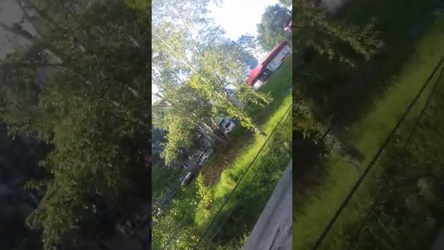 Срать хочу смотреть онлайн