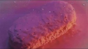 Что лучше, таблетки или капсулы?