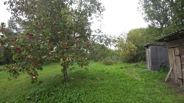 ПРИОТКРЫЛ СТАРОЕ ОДЕЯЛО И ВОЛОСЫ ВСТАЛИ ДЫБОМ! смотреть онлайн