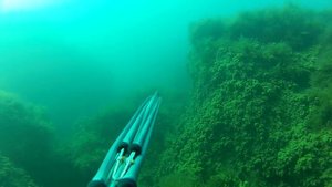 Подводная охота Черное Море 28.04.2014