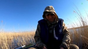 КИЛОГРАММОВЫЕ КАРАСИ на БОКОВОЙ КИВОК рыбалка Северный Казахстан КАРАСИ КАБАНЫ на удочку!!!
