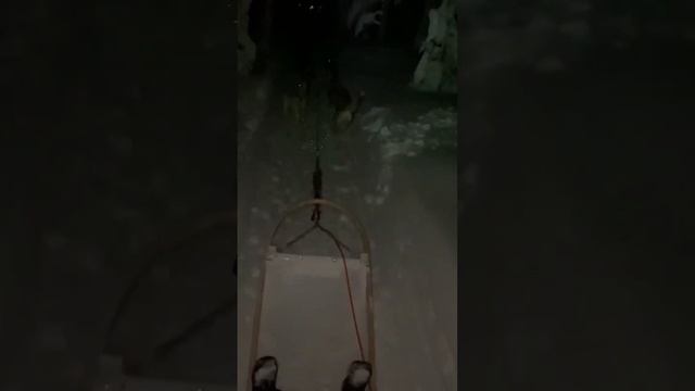 ? Вотчина, Усадьба, Дом Дед Мороза ?