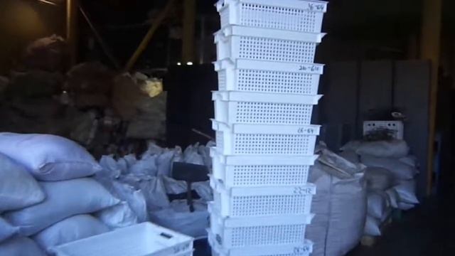 Ящик овощной (усиленный) - презентация смотреть онлайн