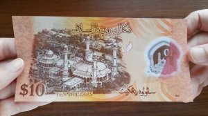 #32. Пополнение коллекции полимерных банкнот 3 декабря.