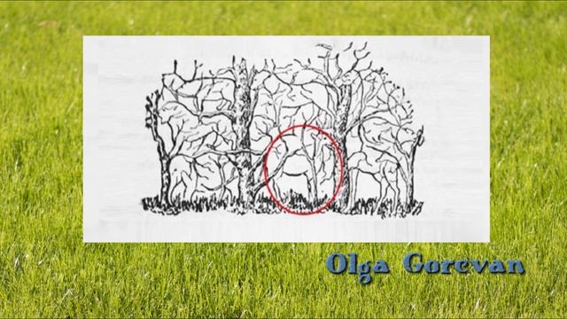 Урок ИНТУИЦИИ - тест на тип личности по картинке - сам себе психолог ? смотреть онлайн