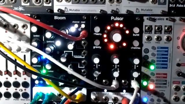 Qu Bit Pulsar Bloom Selfpatch смотреть онлайн