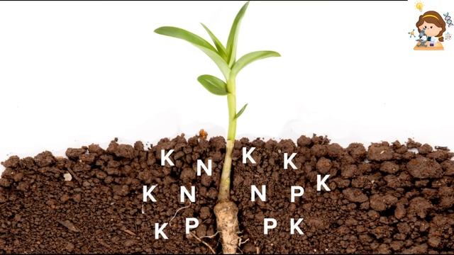 Среда обитания Экологические факторы смотреть онлайн