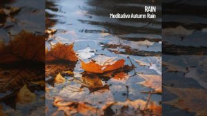 Autumn Rain