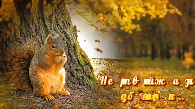 Доброго утра ! Благословенного Дня ! Красивое видео с пожеланиями...❤☀️🤗