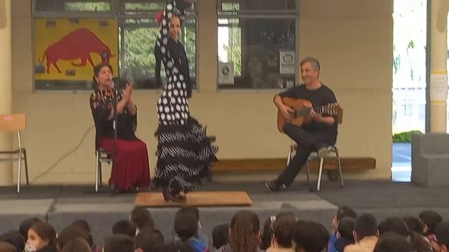 Colegio San Rafael Presentación Flamenco 7/8 смотреть онлайн