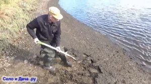 Сапропель - что это такое и как использовать (применение). Отличное удобрение для огорода.