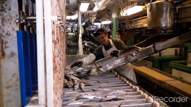 Кадет, матрос 1 и 2 класса обязанности и работа в море на рыболовном судне, рыбак это дважды моряк