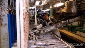 Кадет, матрос 1 и 2 класса обязанности и работа в море на рыболовном судне, рыбак это дважды моряк