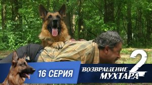 «Возвращение Мухтара — 2». 16 серия. «Пикничок»