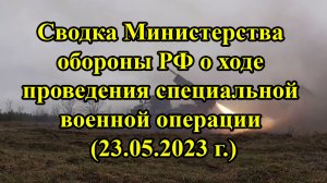 Сводка Министерства обороны РФ о ходе проведения специальной военной операции (23.05.2023 г.)