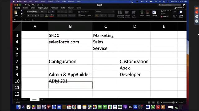 Salesforce Developer Career Path | How to Become Salesforce Developer | Intellipaat