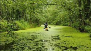 Кушлев - Старая Чигла. 2х-дневный сплав на сапбордах по реке Битюг 02-03.09.23