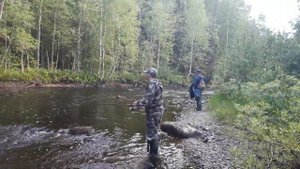 Рыбалка в Карелии 2020 / Форель / Хариус.