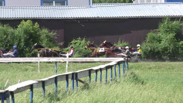 18.06.2022г.Красноярск Дерби Для лошадей рысистых пород 4-х лет  1600м (2гит)