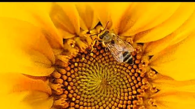 Аутотренинг для педагогов ОЧИЩЕНИЕ