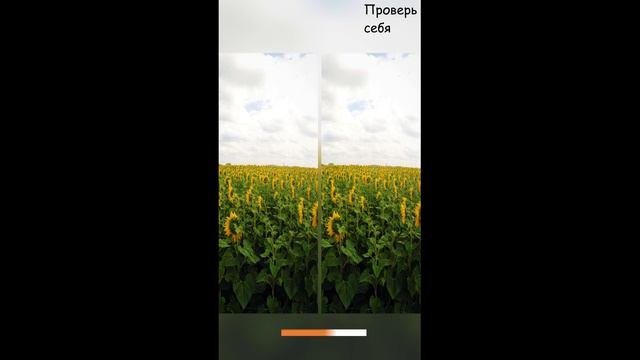 Проверь внимательность найди отличие