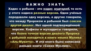 ХАДИС О РАБЫНЕ (Хадис Аль-Джария) / Коба Батуми