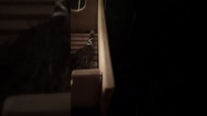 Фитокороб после трех недель экспоуатации.