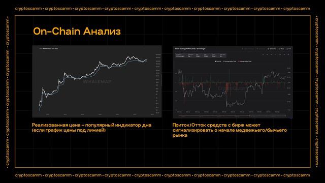 УРОК 5 - Хомяки, Киты и Акулы by Cryptoscamm смотреть онлайн