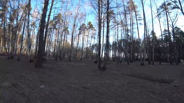 Ювелир идёт на работу ! Через парк Берендеевка Кострома. Покормил своим обедом уток в пруду. смотреть онлайн