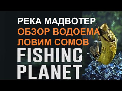 Трофейные сомы и ильная рыба на реке Мадвотер в игре Fishing Planet