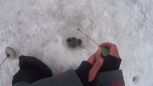 ЗИМНЯЯ РЫБАЛКА.ЛОВЛЯ ГУСТЕРЫ НА БЕЗМОТЫЛКУ