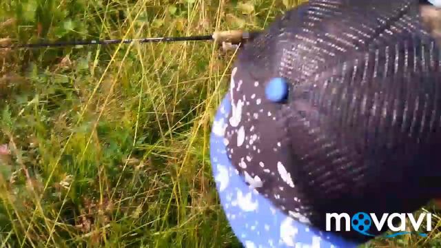 ЛОВИЛИ ЩУКУ на ЖИВЦА и ПОЙМАЛИ МАМКУ на 1кг. ЖИВЕЦ ВСЕГДА РАБОТАЕТ!!! смотреть онлайн