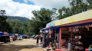 MUNNAR Trip Vlog | God's Own Place | Heavenly place in kerala !!