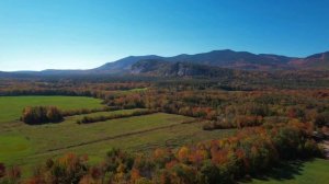 Для чего Человек живет? В чем его смысл?