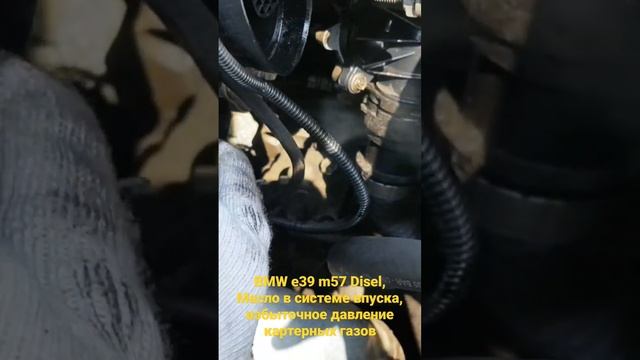 BMW e39 m57 Disel, Масло в системе впуска, избыточное давление картерных газов