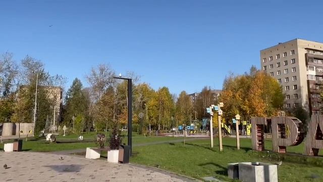 Устала дома от порядков, поехала на дачу за порядками!