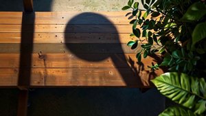 Добрый день -  Желаю светлого, счастливого денечка