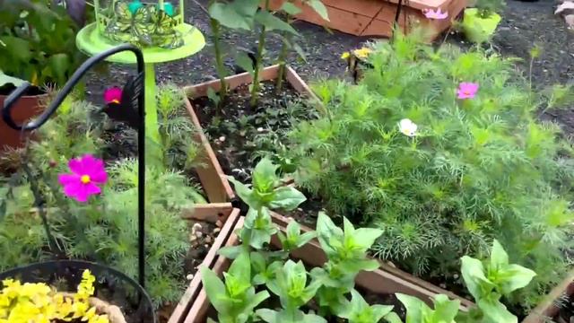 FIRST GARDEN- Tour June '23 смотреть онлайн