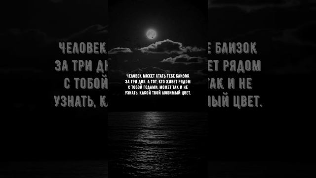 #590 Цитата дня. Мотивация.