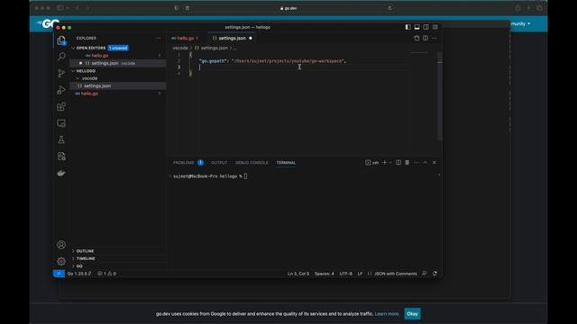 Setup you GoLang project with custom Go Workspace in minutes | Golang