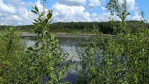 Из жизни в деревне#10.Обзор водоема.Помощник "Урал".Поездка за жердями.