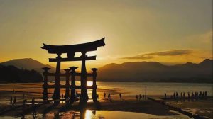 22 года жизни в Японии. Матвей и Мари. Правдивая История