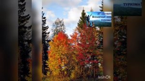 "Лес,точно терем расписной"