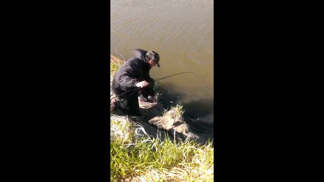 Как ловить КАРПА! Fishing Carp