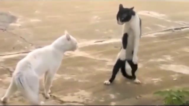 Священник Николай Каров - Ужастики смотреть онлайн