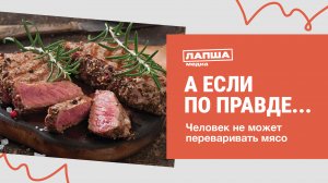 ЧЕЛОВЕК НЕ МОЖЕТ ПЕРЕВАРИВАТЬ МЯСО I ЧЕЛОВЕКУ ВРЕДНО ЕСТЬ МЯСО I РАЗБОР ФЕЙКА