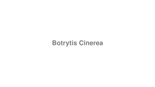 How to Pronounce "Botrytis Cinerea" смотреть онлайн