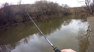 Family fishing выпуск 21 Каролинская оснастка по осени